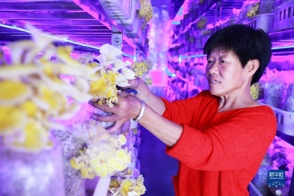 波克捕鱼官方专区下载